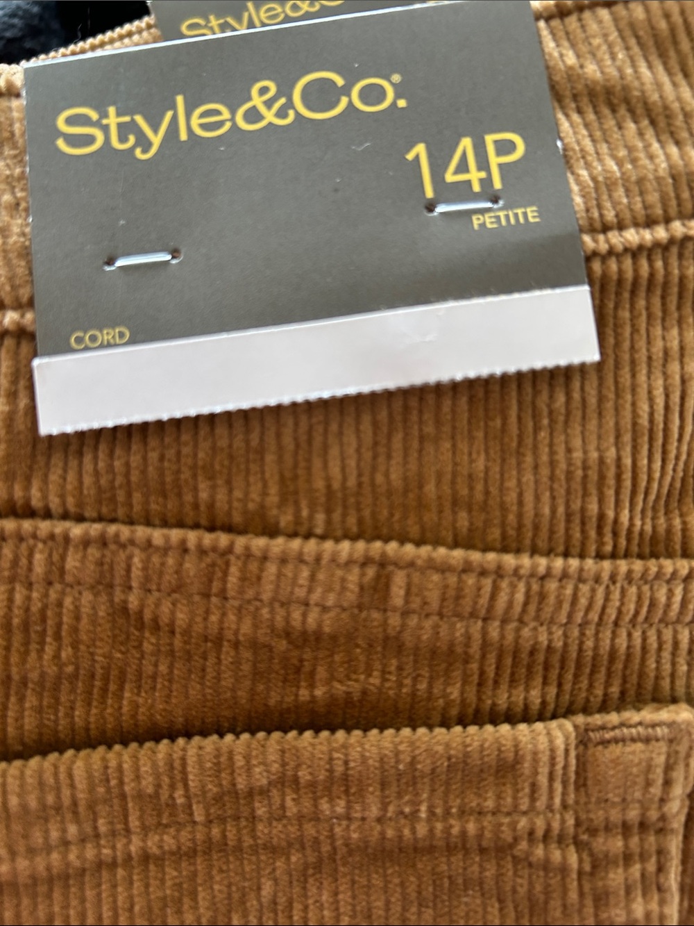 Stylish Boys Brown Corduroy Pants by